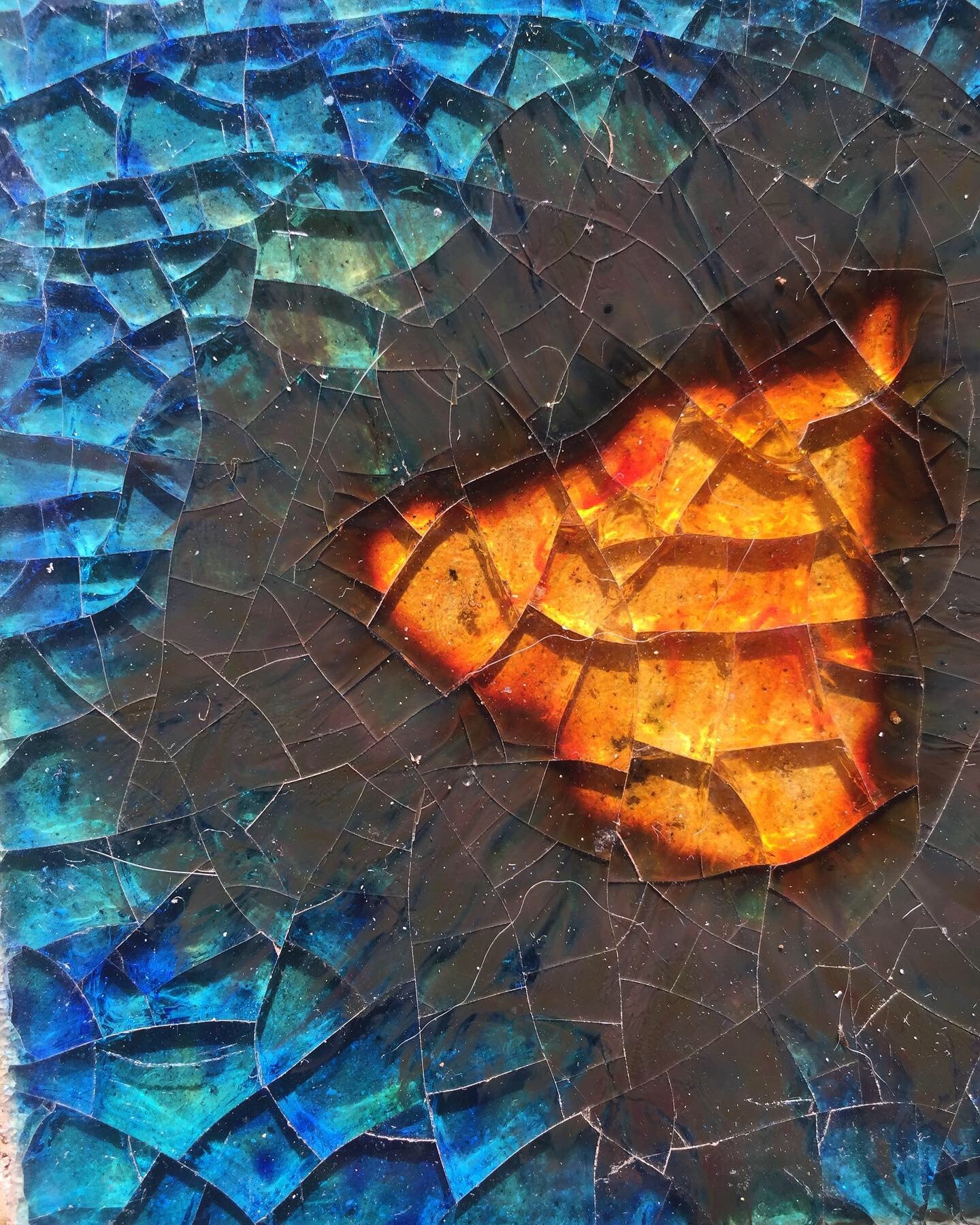 Bespoke Tiles In Motion: Terra Oceanica