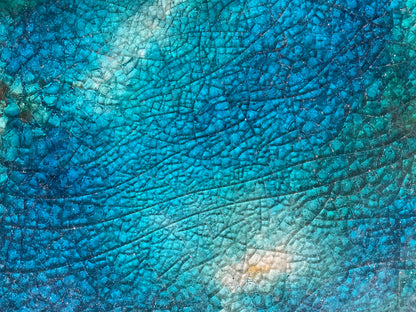 Bespoke Tiles In Motion: Terra Oceanica